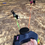 deux chiens en promenade sur le sable tenus par une laisse rétractable 2-en-1