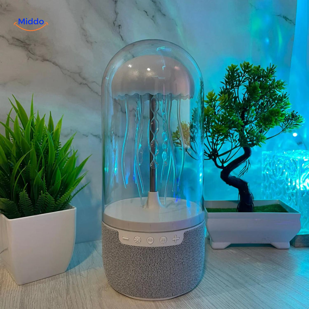 enceinte bluetooth portable posee sur un bureau avec plantes vertes et eclairage d'ambiance colore