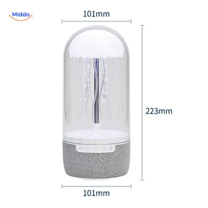 vue complete de l'enceinte bluetooth avec dimensions annotees en millimetres pour chaque cote