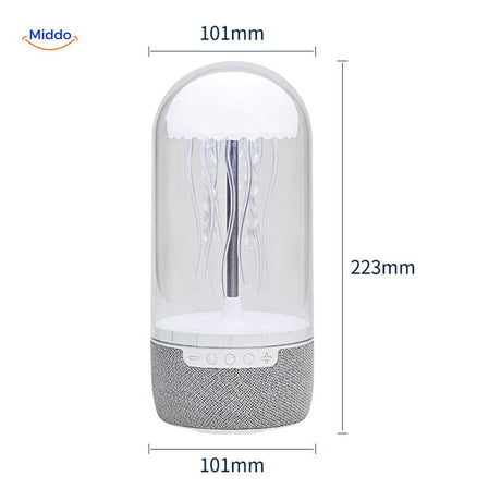 vue complete de l'enceinte bluetooth avec dimensions annotees en millimetres pour chaque cote