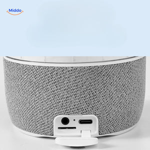 vue arriere de l'enceinte bluetooth montrant les ports audio et usb de connexion