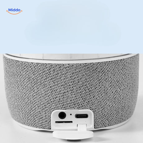 vue arriere de l'enceinte bluetooth montrant les ports audio et usb de connexion