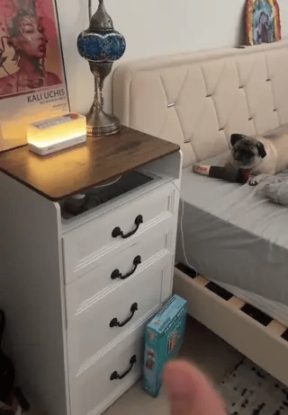 enceinte bluetooth posée sur table de chevet avec veilleuse rgb douce pour la chambre à coucher