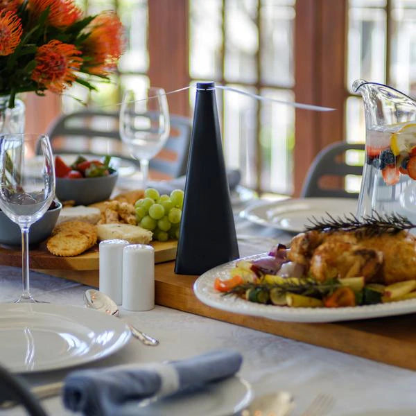 fly fan chasse-mouches posé sur la table à manger avec plats et fleurs pour protéger la nourriture