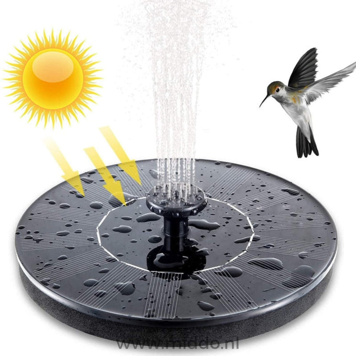 fontaine solaire pour jardin avec panneau solaire et colibri, vue détail