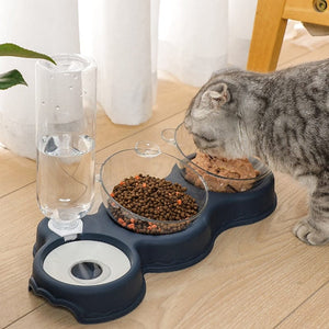 chat qui mange des croquettes depuis le plateau gamelle 3 en 1 avec coupelles amovibles