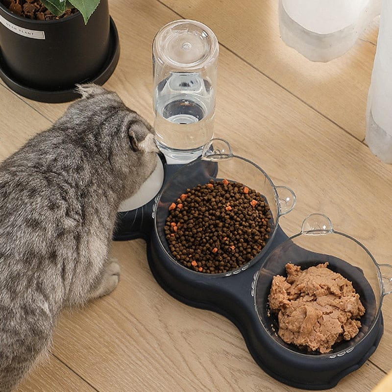 chat qui boit de l'eau à côté de coupelles de croquettes et pâtée sur le plateau 3 en 1