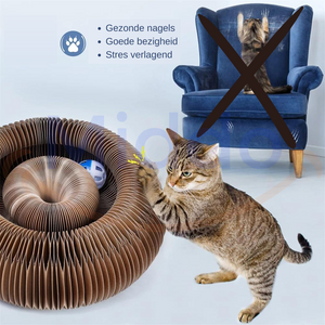 Le Kattenscratcher™ | Gratter et Jouer pour Chaque Chat