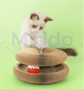 chat curieux qui explore et joue sur le griffoir dans un environnement naturel vert