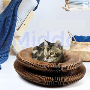 chat allongé et détendu dans le griffoir, position de repos confortable