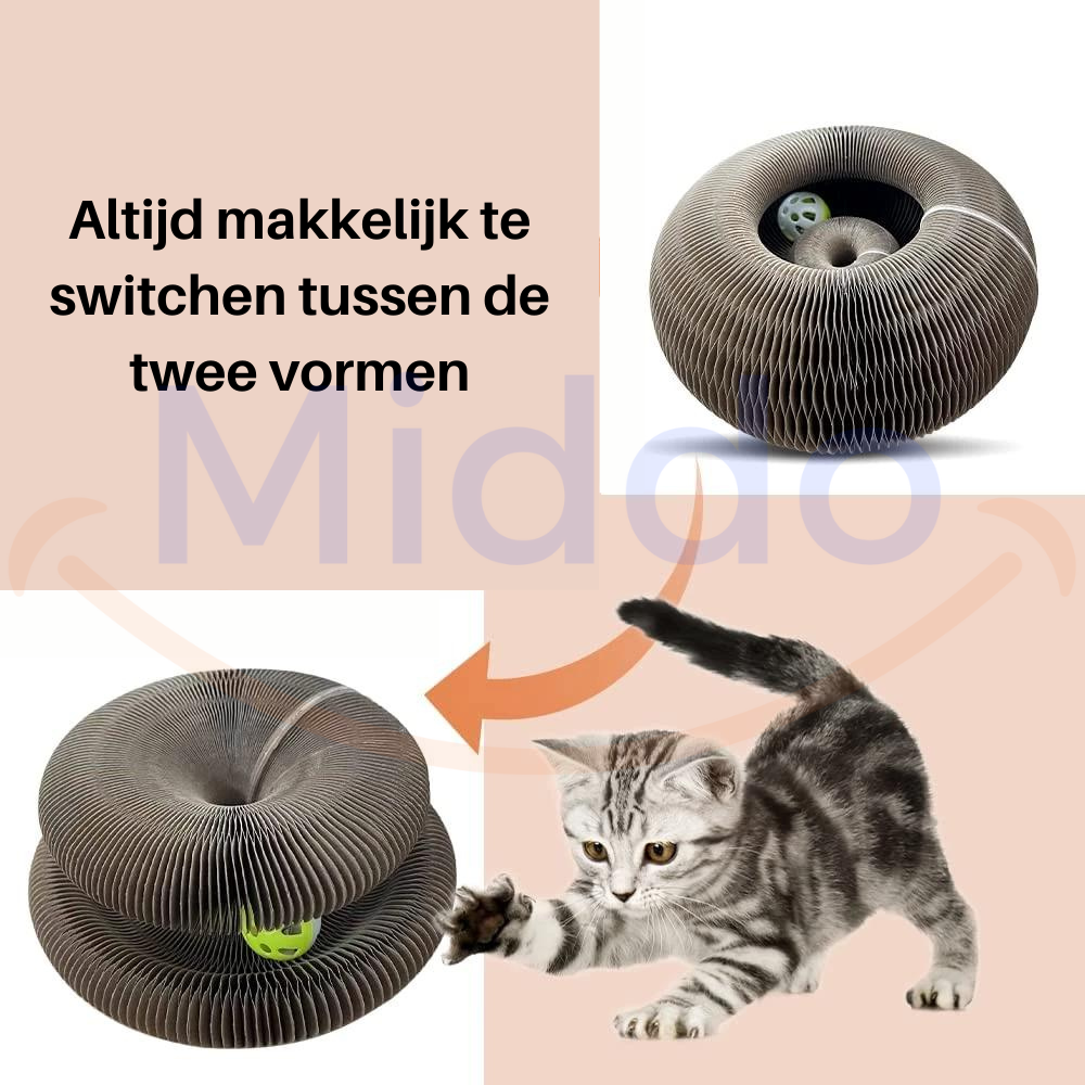 chat qui alterne les positions sur le griffoir pour gratter, jouer et s'étirer