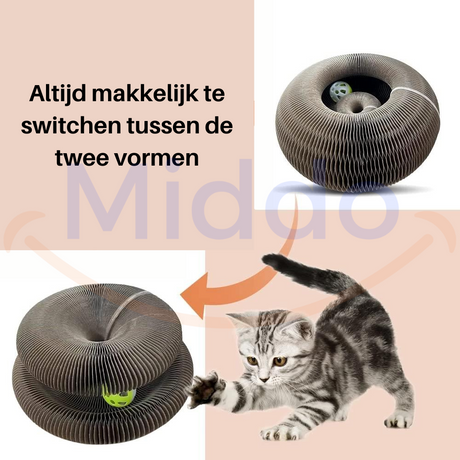 chat qui alterne les positions sur le griffoir pour gratter, jouer et s'étirer