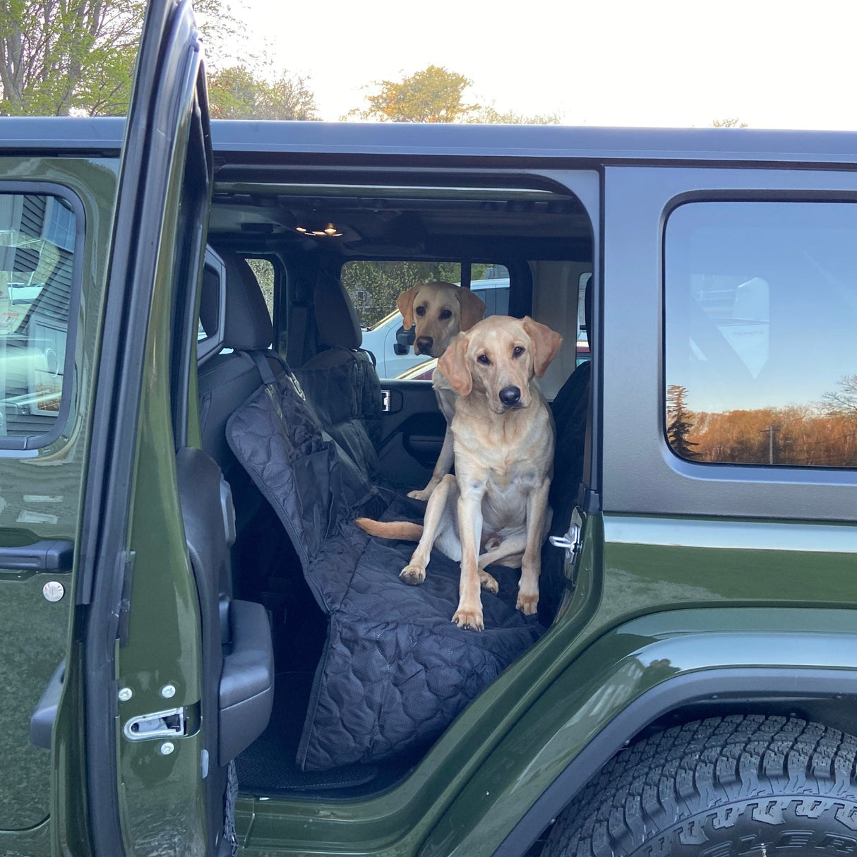 deux chiens assis sur une housse de protection animaux dans un jeep vert, ceinture de sécurité incluse