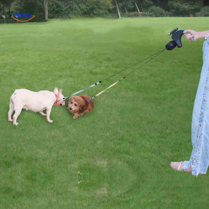laisse double pour deux chiens sur un terrain herbeux, parfaite pour les sorties en plein air