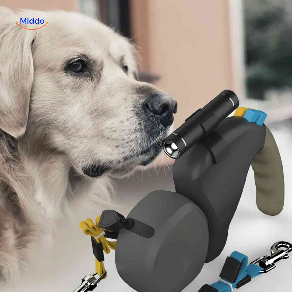 laisse rétractable double avec lampe de poche intégrée pour promener son chien la nuit