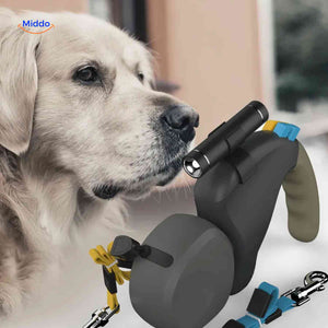 laisse rétractable double avec lampe de poche intégrée pour promener son chien la nuit