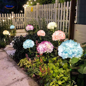 lanterne solaire florale hortensia illuminant une allée de jardin en soirée