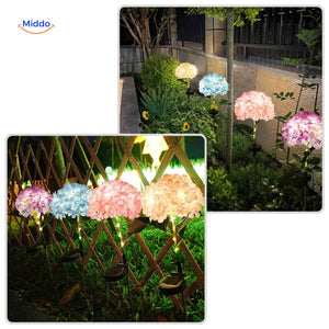 mix de lanternes solaires hortensia colorées pour éclairage décoratif extérieur
