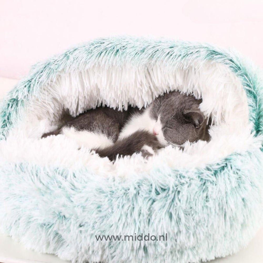 chat niché dans un lit pour animaux chaud coloris vert