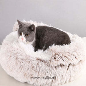 chat installé dans un lit pour animaux confortable coloris beige clair