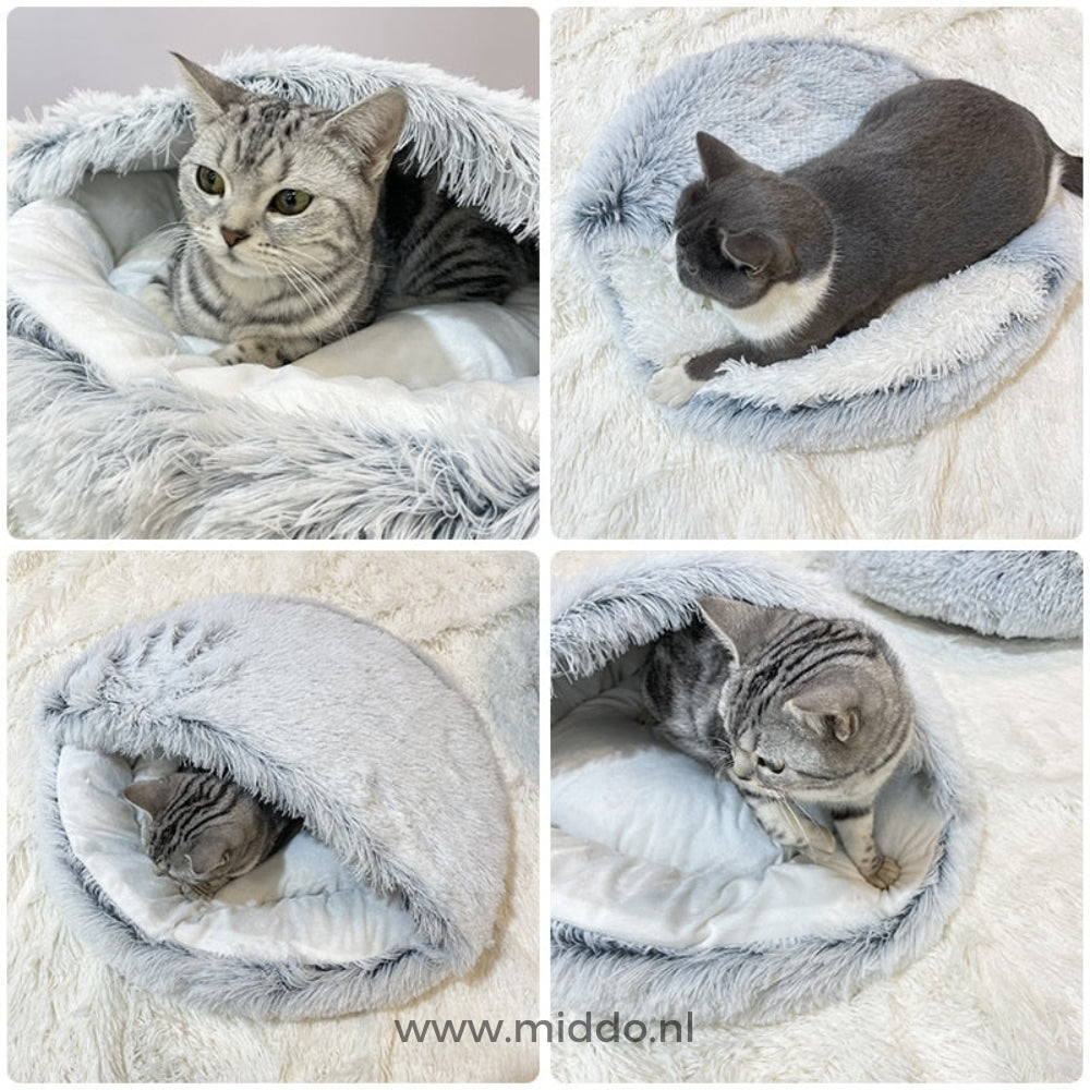 chats pelotonnés dans un lit pour animaux douillet et chaleureux
