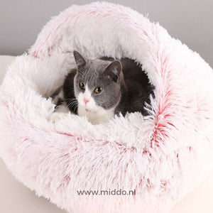 chat blotti dans un lit pour animaux rond et doux coloris rose