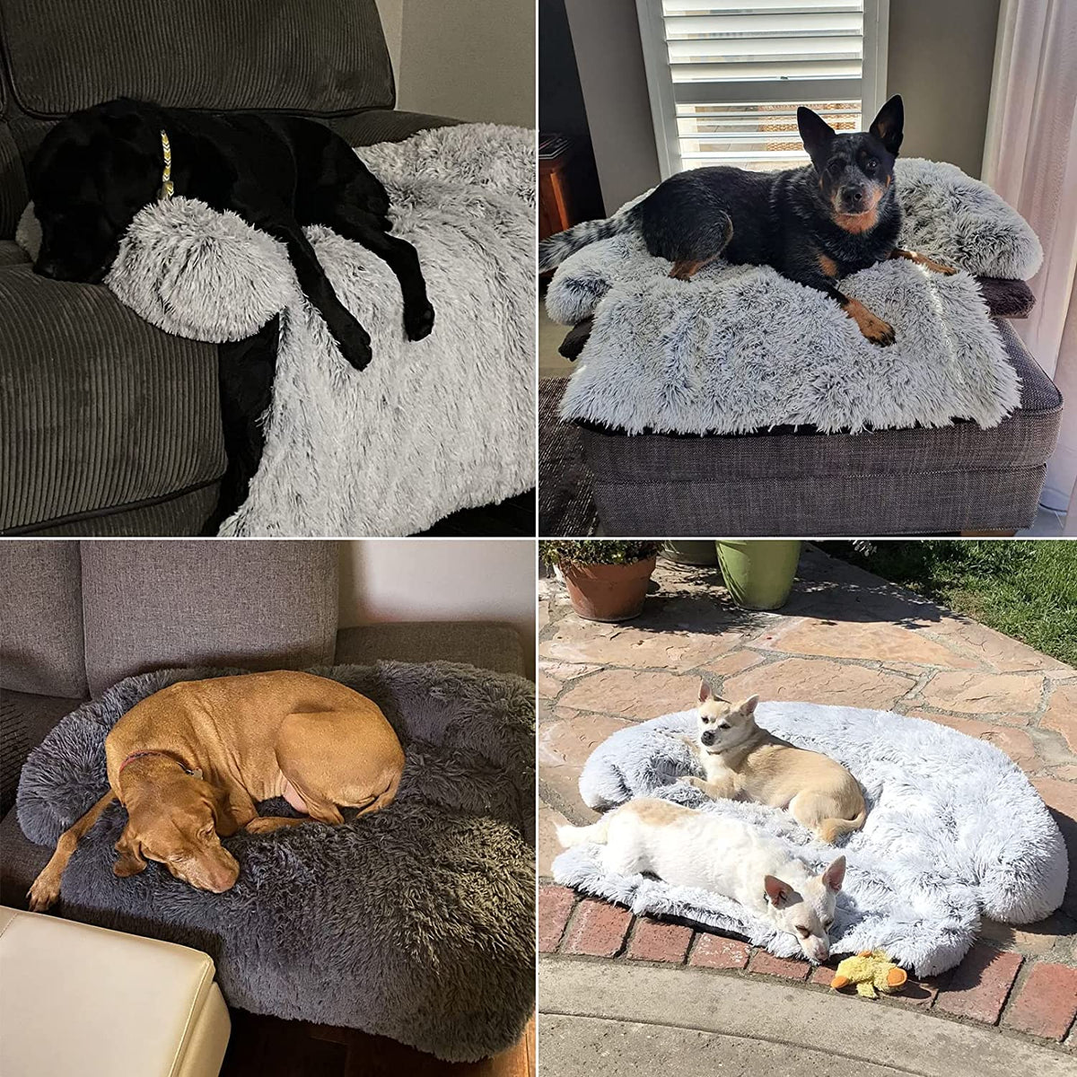 lit apaisant pour chien avec protection meubles integree, vue principale du produit
