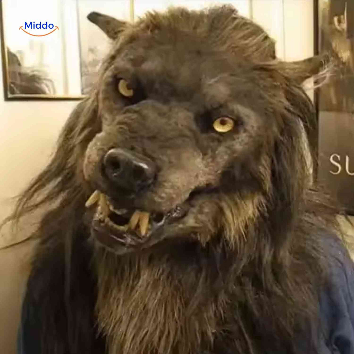 masque tête de loup en latex réaliste pour déguisement halloween
