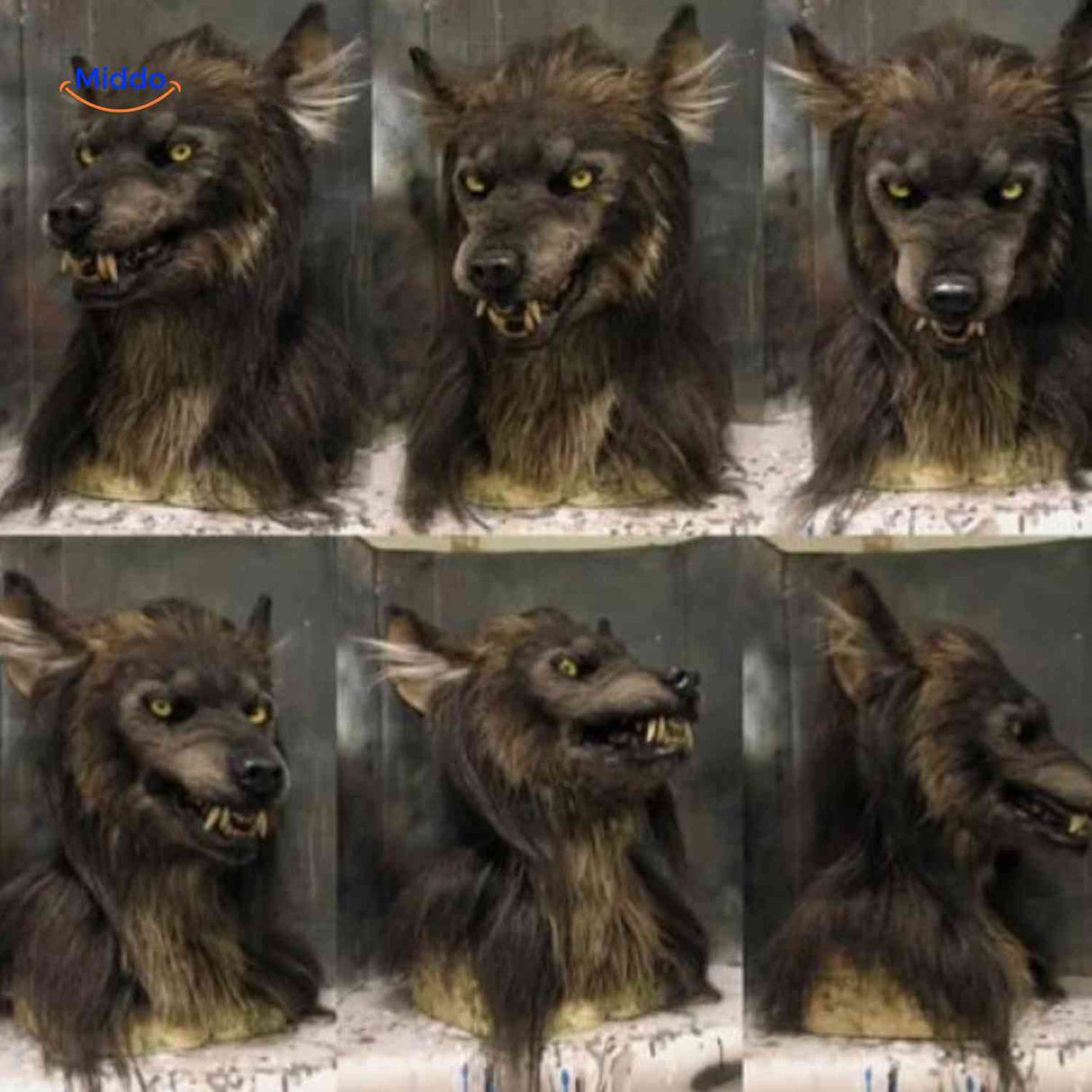 masque loup réaliste en latex vu sous plusieurs angles pour halloween
