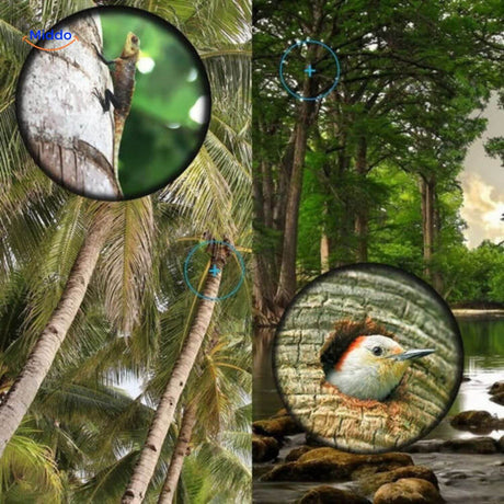 monoculaire grossissant des animaux et oiseaux dans la nature, idéal pour l'observation animalière