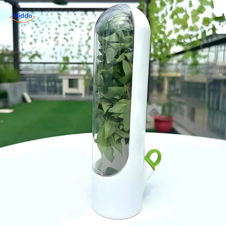 outil de conservation des herbes aromatiques pose sur une table, design pratique pour la cuisine