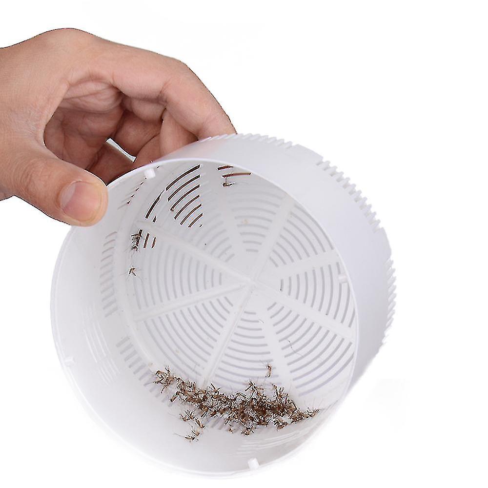 main tenant le piège à moustiques blanc avec des insectes capturés à l'intérieur