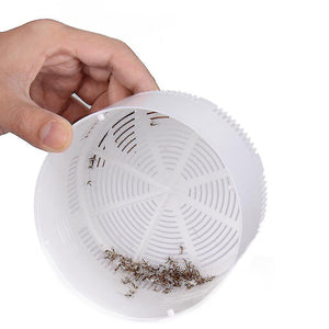 main tenant le piège à moustiques blanc avec des insectes capturés à l'intérieur