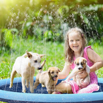 une fille et ses petits chiens s'amusent ensemble sur le tapis d'eau fontaine dans le jardin