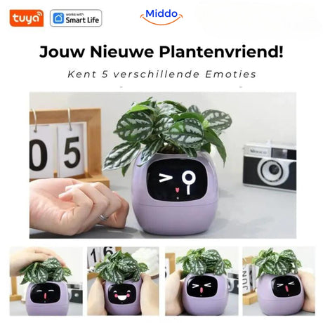 pot de fleurs intelligent happy ivy affichant ses 5 différentes expressions sur l'écran LED