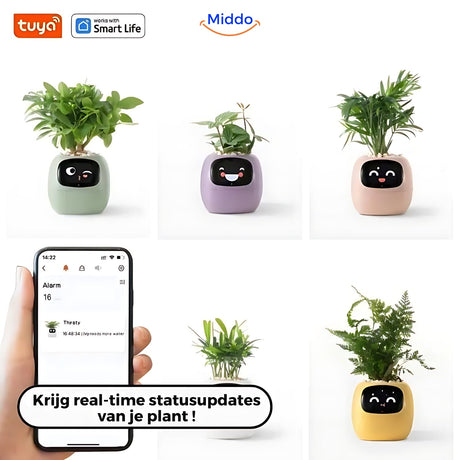 pot de fleurs connecté happy ivy couplé à l'application mobile pour les mises à jour en temps réel