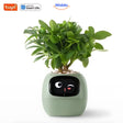pot de fleurs intelligent happy ivy en coloris vert, arrosage automatique et suivi des plantes