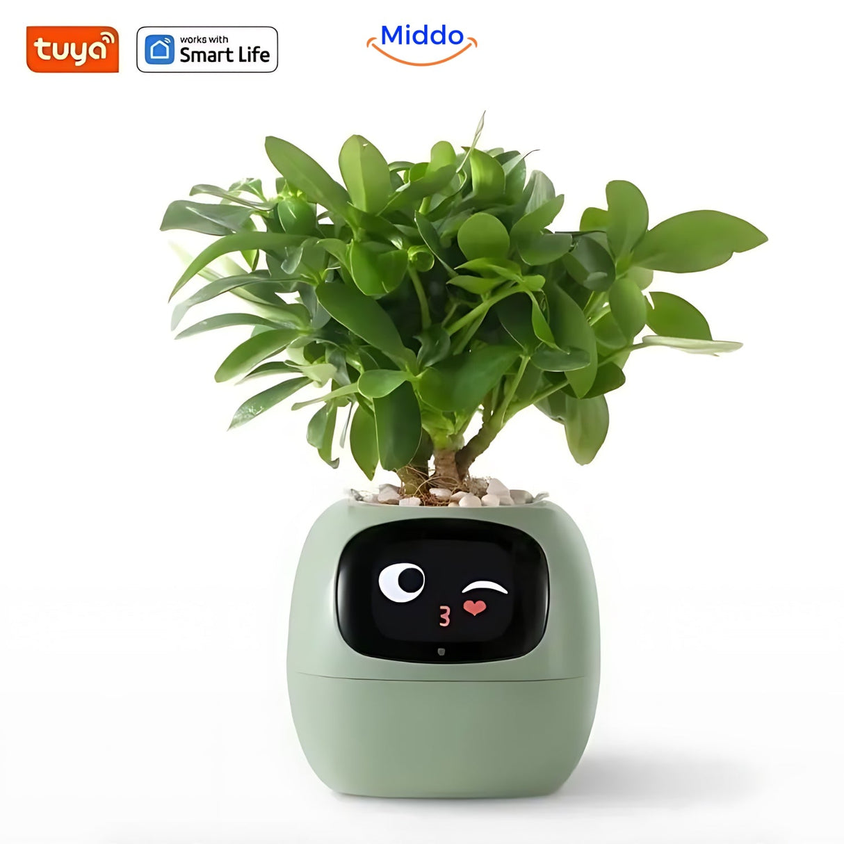 pot de fleurs intelligent happy ivy en coloris vert, arrosage automatique et suivi des plantes