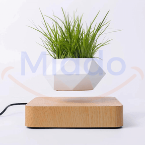 pot flottant blanc avec plante verte en lévitation sur base brun clair