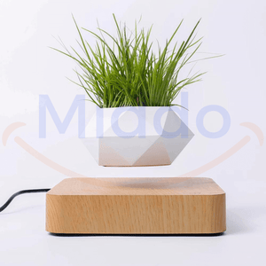 pot flottant blanc avec plante verte en lévitation sur base brun clair