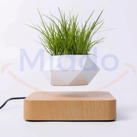pot flottant blanc avec plante verte en lévitation sur base brun clair