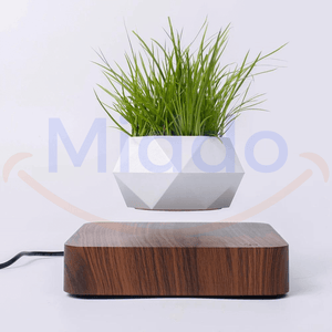 pot flottant blanc avec plante verte en lévitation sur base brun foncé