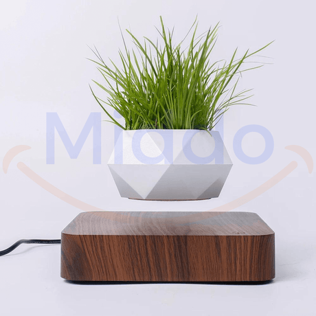 pot flottant blanc avec plante verte en lévitation sur base brun foncé