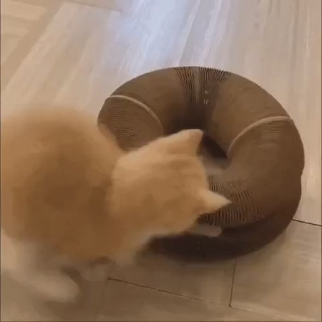 Vidéo du produit: Le Kattenscratcher™ | Gratter et Jouer pour Chaque Chat
