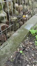 expérience musicale avec tambour à langues acier joué sous la pluie en extérieur
