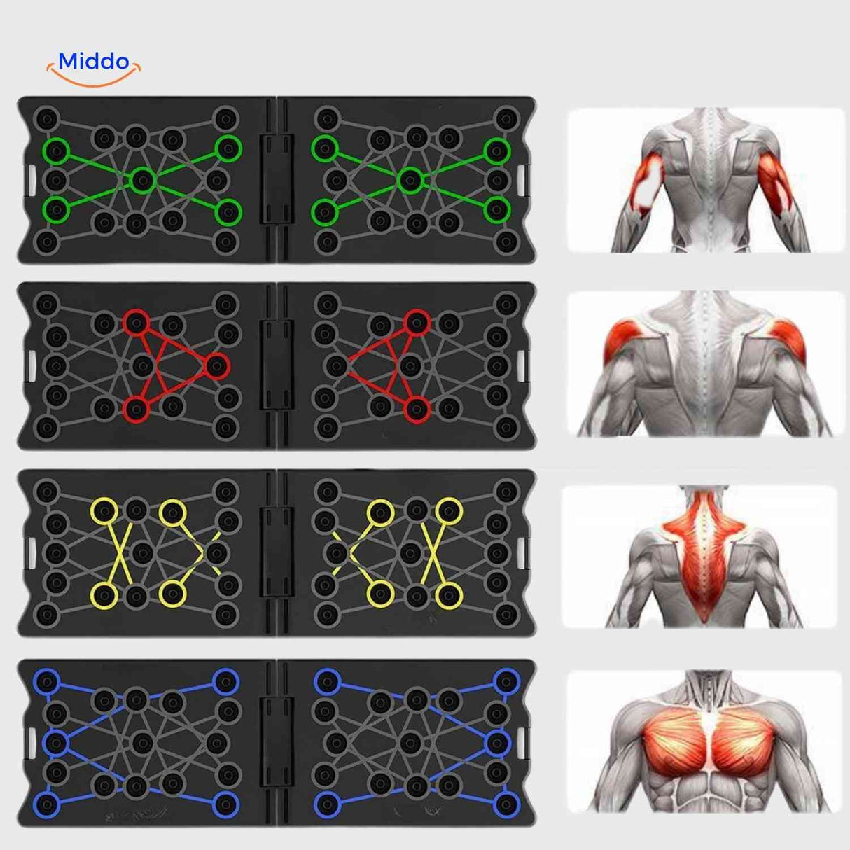 push-up board avec zones colorées indiquant les différents groupes musculaires ciblés