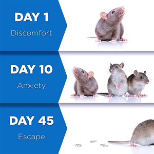schéma en étapes montrant comment le répulsif ultrasonique éloigne les souris du domicile
