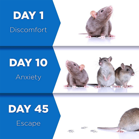 schéma en étapes montrant comment le répulsif ultrasonique éloigne les souris du domicile
