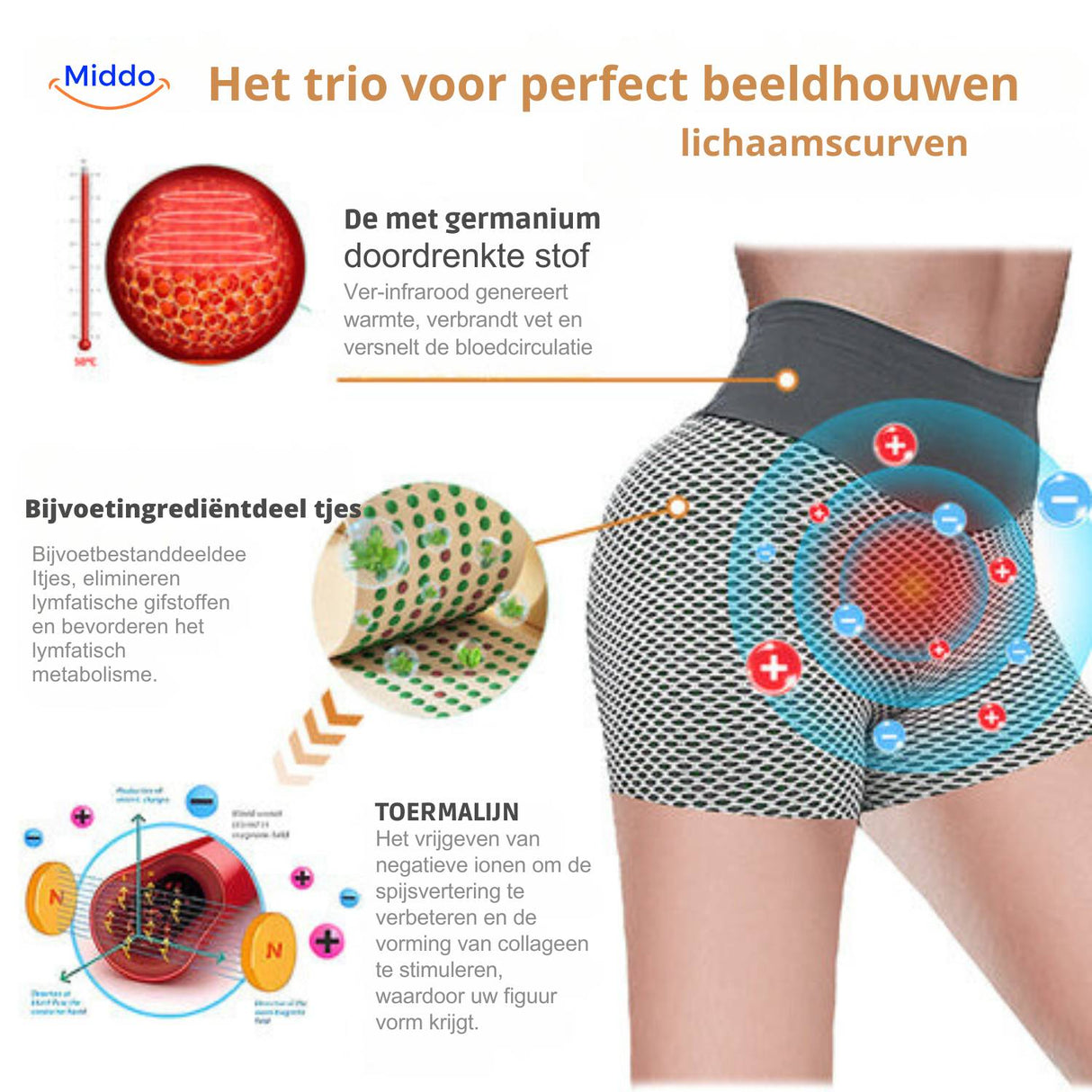 short de yoga taille haute flexfit : aperçu des fonctions et spécifications clés