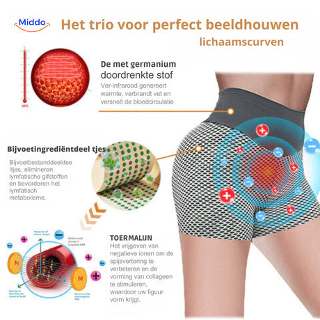 short de yoga taille haute flexfit : aperçu des fonctions et spécifications clés